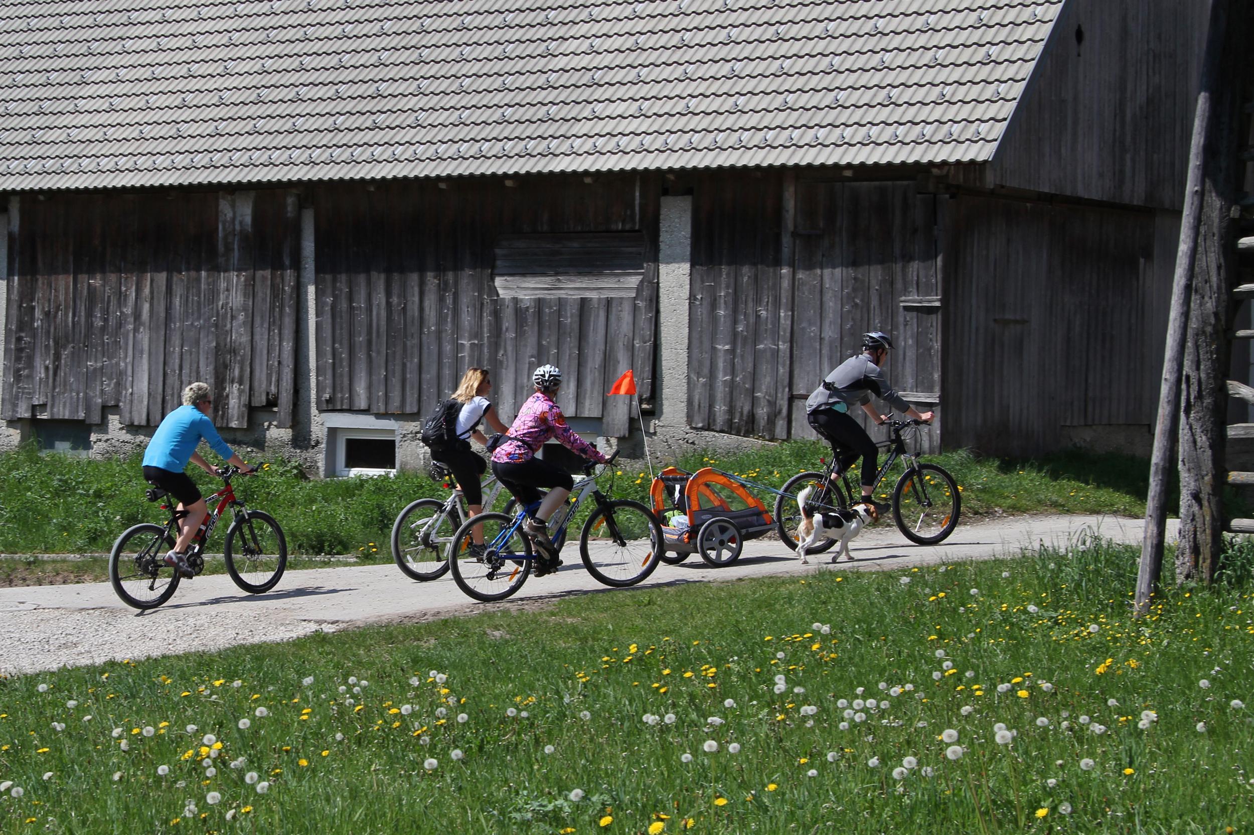 Bohinj Eco Hotel Bohinjska Bistrica Exterior foto